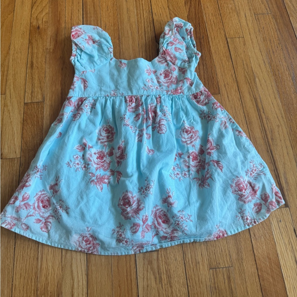 Janie and Jack Puffed Sleeve Floral Dress - Summer Sky Rose Print